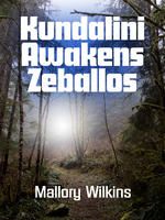 Cover for 'Kundalini Awakens Zeballos'