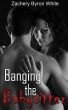 Banging the Babysitter by Zachery White