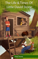 Cover for 'The Life and Times of Little David Stone'