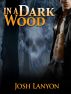 In a Dark Wood by Josh Lanyon