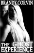 The Ghost Experience: MF Paranormal Erotica by Brandy Corvin