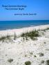 These Common Mornings, This Common Night by Pamela Steed Hill