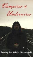 Cover for 'Vampires & Underwires'