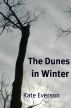 The Dunes in Winter by Kate Everson
