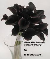 Cover for 'When We Escape- A Short Story'