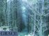 Grace - A Short Story. by Ryan Finnigan