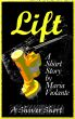 The Lift by Maria Violante