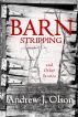 Barn Stripping and Other Stories by Andrew J. Olson