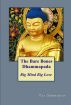 The Bare Bones Dhammapada: Big Mind Big Love by Tai Sheridan, Ph.D.