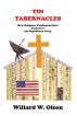 TIN TABERNACLES: How Religious Fundamentalists Took Over the Republican Party by Willard W. Olson