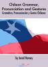 Chilean Grammar, Pronunciation and Gestures - GramÃ¡tica, PronunciaciÃ³n y Gestos Chilenos by Jared Romey
