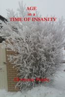 Cover for 'Age In A Time Of Insanity and Other Short Stories'