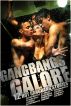 Gangbangs Galore (12 Hot Gangbang Stories) by Stroker Chase