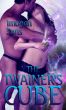 The Twainer's Cube by Imogen Sans