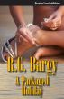 A Packaged Holiday by R.G. Bargy