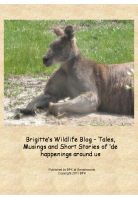 Cover for 'Brigitte&rsquo;s Wildlife Blog &ndash; Tales and Stories of &lsquo;de happenings around us'