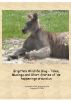 Brigitteâ€™s Wildlife Blog â€“ Tales and Stories of â€˜de happenings around us by BPK 
