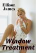 Window Treatment by Ellison James