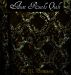 Aunt Ruth's Quilt by N. M. Bronson