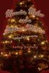 Memories, Mother and a Christmas Addiction by Lorina Stephens