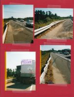 Cover for 'Thriving On Truckin' Chaos'