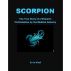 Scorpion: The True Story of a Woman's Victimization by the Medical Industry by kris west