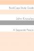 A Separate Peace (A BookCaps Study Guide) by BookCaps 