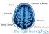 the right hemisphere: issue 2010 by Ash Anwar