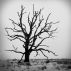 Twist of Fate by Edward Holsclaw
