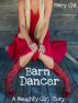 Barn Dancer by Mary  Chi