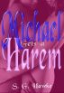 Michael Gets a Harem by S. G. Hawke