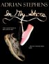 In My Shoes by Adrian Stephens