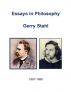 Essays in Philosophy by Gerry Stahl