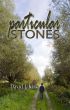 Particular Stones by David J. Kirk