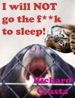 Cover for 'I Will Not Go the F**k to Sleep'