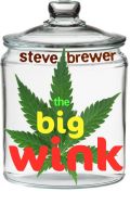 Cover for 'The Big Wink'