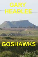 Cover for 'Goshawks'