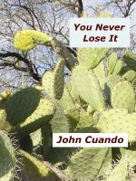Cover for 'You Never Lose It'