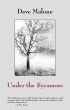 Under the Sycamore by Dave Malone