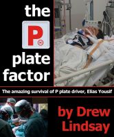 Cover for 'The P Plate Factor'