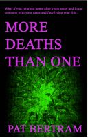 Cover for 'More Deaths Than One'