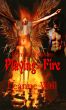 Playing with Fire by Leanne Will