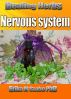 Healing Herbs for the nervous system by Erika M Szabo