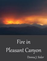 Cover for 'Fire in Pleasant Canyon'