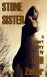 Stone Sister by Jill Zeller