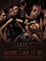 Cover for 'Some Like it Bi: Erotic Tales of Bisexual Menage'