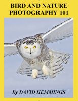 Cover for 'Bird and Nature Photography 101'