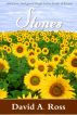 Stones by David A. Ross