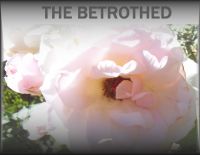 Cover for 'The Betrothed'