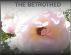 The Betrothed by Monica P